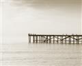 Picture of Birds on the Pier _GroupedProduct_Rectangle_Landscape_Photography _GroupedProduct_Rectangle_Landscape_Unframed_Print_Only_