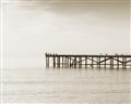 Picture of Birds on the Pier _GroupedProduct_Rectangle_Landscape_Photography _GroupedProduct_Rectangle_Landscape_Unframed_Print_Only_