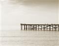 Picture of Birds on the Pier _GroupedProduct_Rectangle_Landscape_Photography _GroupedProduct_Rectangle_Landscape_Unframed_Print_Only_
