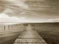 Picture of Blissfull Dock _GroupedProduct_Rectangle_Landscape_Photography _GroupedProduct_Rectangle_Landscape_Unframed_Print_Only_