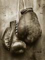 Picture of Boxing Gloves _GroupedProduct_Rectangle_Portrait_Photography _GroupedProduct_Rectangle_Portrait_Unframed_Print_Only_