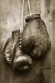Picture of Boxing Gloves _GroupedProduct_Rectangle_Portrait_Photography _GroupedProduct_Rectangle_Portrait_Unframed_Print_Only_