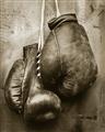 Picture of Boxing Gloves _GroupedProduct_Rectangle_Portrait_Photography _GroupedProduct_Rectangle_Portrait_Unframed_Print_Only_