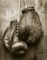 Picture of Boxing Gloves _GroupedProduct_Rectangle_Portrait_Photography _GroupedProduct_Rectangle_Portrait_Unframed_Print_Only_