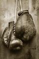 Picture of Boxing Gloves _GroupedProduct_Rectangle_Portrait_Photography _GroupedProduct_Rectangle_Portrait_Unframed_Print_Only_