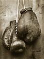 Picture of Boxing Gloves _GroupedProduct_Rectangle_Portrait_Photography _GroupedProduct_Rectangle_Portrait_Unframed_Print_Only_
