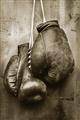Picture of Boxing Gloves _GroupedProduct_Rectangle_Portrait_Photography _GroupedProduct_Rectangle_Portrait_Unframed_Print_Only_