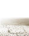 Picture of Busy Beach I _GroupedProduct_Rectangle_Portrait_Photography _GroupedProduct_Rectangle_Portrait_Unframed_Print_Only_