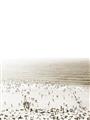 Picture of Busy Beach I _GroupedProduct_Rectangle_Portrait_Photography _GroupedProduct_Rectangle_Portrait_Unframed_Print_Only_