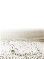 Picture of Busy Beach I _GroupedProduct_Rectangle_Portrait_Photography _GroupedProduct_Rectangle_Portrait_Unframed_Print_Only_
