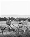Picture of Bicycle Basket _GroupedProduct_Rectangle_Portrait_Photography _GroupedProduct_Rectangle_Portrait_Unframed_Print_Only_