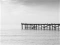 Picture of Birds on the Pier _GroupedProduct_Rectangle_Landscape_Photography _GroupedProduct_Rectangle_Landscape_Unframed_Print_Only_