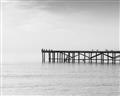 Picture of Birds on the Pier _GroupedProduct_Rectangle_Landscape_Photography _GroupedProduct_Rectangle_Landscape_Unframed_Print_Only_