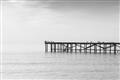 Picture of Birds on the Pier _GroupedProduct_Rectangle_Landscape_Photography _GroupedProduct_Rectangle_Landscape_Unframed_Print_Only_