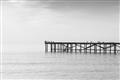 Picture of Birds on the Pier _GroupedProduct_Rectangle_Landscape_Photography _GroupedProduct_Rectangle_Landscape_Unframed_Print_Only_
