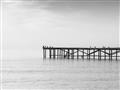 Picture of Birds on the Pier _GroupedProduct_Rectangle_Landscape_Photography _GroupedProduct_Rectangle_Landscape_Unframed_Print_Only_
