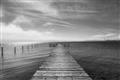 Picture of Blissfull Dock _GroupedProduct_Rectangle_Landscape_Photography _GroupedProduct_Rectangle_Landscape_Unframed_Print_Only_