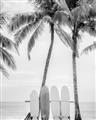 Picture of Boards on the Beach _GroupedProduct_Rectangle_Portrait_Photography _GroupedProduct_Rectangle_Portrait_Unframed_Print_Only_