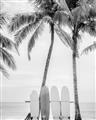 Picture of Boards on the Beach _GroupedProduct_Rectangle_Portrait_Photography _GroupedProduct_Rectangle_Portrait_Unframed_Print_Only_