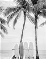 Picture of Boards on the Beach _GroupedProduct_Rectangle_Portrait_Photography _GroupedProduct_Rectangle_Portrait_Unframed_Print_Only_