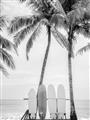 Picture of Boards on the Beach _GroupedProduct_Rectangle_Portrait_Photography _GroupedProduct_Rectangle_Portrait_Unframed_Print_Only_