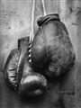 Picture of Boxing Gloves _GroupedProduct_Rectangle_Portrait_Photography _GroupedProduct_Rectangle_Portrait_Unframed_Print_Only_