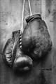 Picture of Boxing Gloves _GroupedProduct_Rectangle_Portrait_Photography _GroupedProduct_Rectangle_Portrait_Unframed_Print_Only_