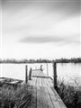 Picture of Dock of the Bay  _GroupedProduct_Rectangle_Portrait_Photography _GroupedProduct_Rectangle_Portrait_Unframed_Print_Only_