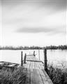 Picture of Dock of the Bay  _GroupedProduct_Rectangle_Portrait_Photography _GroupedProduct_Rectangle_Portrait_Unframed_Print_Only_