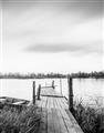 Picture of Dock of the Bay  _GroupedProduct_Rectangle_Portrait_Photography _GroupedProduct_Rectangle_Portrait_Unframed_Print_Only_