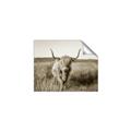 Picture of Beautiful Cow, Bella  _GroupedProduct_Rectangle_Landscape_Photography _GroupedProduct_Rectangle_Landscape_Unframed_Print_Only_