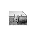Picture of Beautiful Cow, Bella  _GroupedProduct_Rectangle_Landscape_Photography _GroupedProduct_Rectangle_Landscape_Unframed_Print_Only_