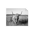 Picture of Beautiful Cow, Bella  _GroupedProduct_Rectangle_Landscape_Photography _GroupedProduct_Rectangle_Landscape_Unframed_Print_Only_