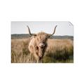 Picture of Beautiful Cow, Bella  _GroupedProduct_Rectangle_Landscape_Photography _GroupedProduct_Rectangle_Landscape_Unframed_Print_Only_