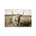 Picture of Beautiful Cow, Bella  _GroupedProduct_Rectangle_Landscape_Photography _GroupedProduct_Rectangle_Landscape_Unframed_Print_Only_