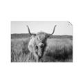 Picture of Beautiful Cow, Bella  _GroupedProduct_Rectangle_Landscape_Photography _GroupedProduct_Rectangle_Landscape_Unframed_Print_Only_