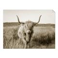 Picture of Beautiful Cow, Bella  _GroupedProduct_Rectangle_Landscape_Photography _GroupedProduct_Rectangle_Landscape_Unframed_Print_Only_