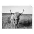 Picture of Beautiful Cow, Bella  _GroupedProduct_Rectangle_Landscape_Photography _GroupedProduct_Rectangle_Landscape_Unframed_Print_Only_