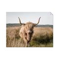 Picture of Beautiful Cow, Bella  _GroupedProduct_Rectangle_Landscape_Photography _GroupedProduct_Rectangle_Landscape_Unframed_Print_Only_