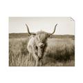 Picture of Beautiful Cow, Bella  _GroupedProduct_Rectangle_Landscape_Photography _GroupedProduct_Rectangle_Landscape_Unframed_Print_Only_