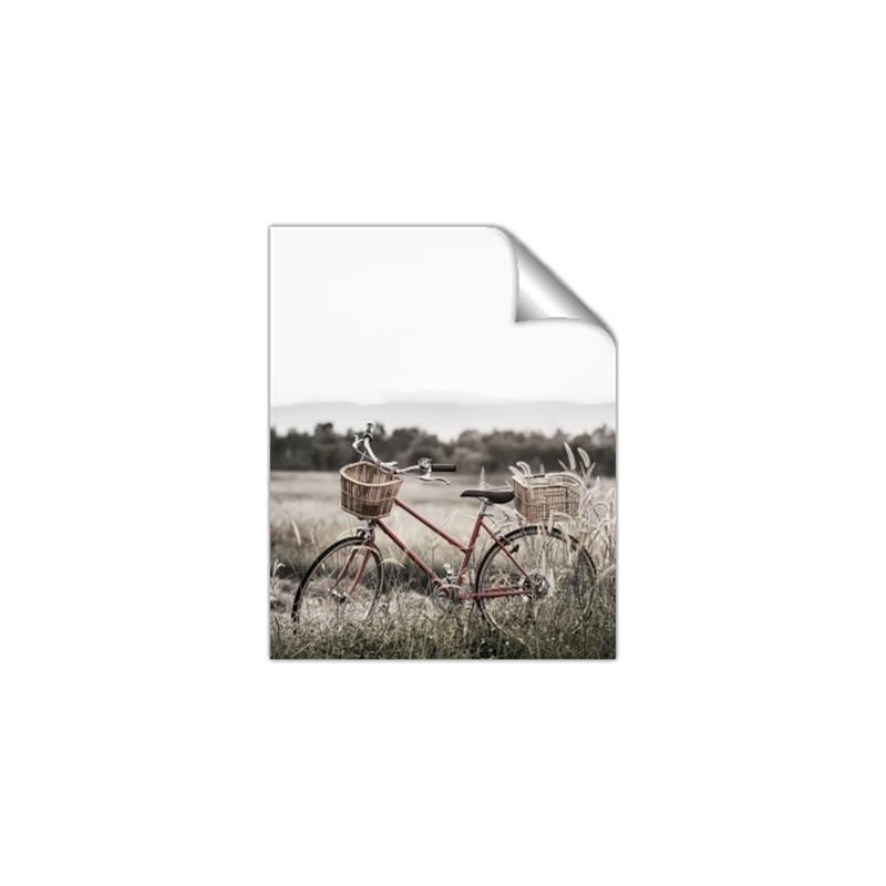 Picture of Bicycle Basket _GroupedProduct_Rectangle_Portrait_Photography _GroupedProduct_Rectangle_Portrait_Unframed_Print_Only_