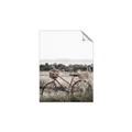 Picture of Bicycle Basket _GroupedProduct_Rectangle_Portrait_Photography _GroupedProduct_Rectangle_Portrait_Unframed_Print_Only_