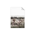 Picture of Bicycle Basket _GroupedProduct_Rectangle_Portrait_Photography _GroupedProduct_Rectangle_Portrait_Unframed_Print_Only_