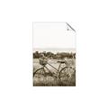 Picture of Bicycle Basket _GroupedProduct_Rectangle_Portrait_Photography _GroupedProduct_Rectangle_Portrait_Unframed_Print_Only_