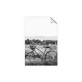 Picture of Bicycle Basket _GroupedProduct_Rectangle_Portrait_Photography _GroupedProduct_Rectangle_Portrait_Unframed_Print_Only_