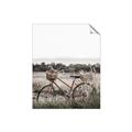 Picture of Bicycle Basket _GroupedProduct_Rectangle_Portrait_Photography _GroupedProduct_Rectangle_Portrait_Unframed_Print_Only_