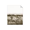 Picture of Bicycle Basket _GroupedProduct_Rectangle_Portrait_Photography _GroupedProduct_Rectangle_Portrait_Unframed_Print_Only_