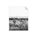 Picture of Bicycle Basket _GroupedProduct_Rectangle_Portrait_Photography _GroupedProduct_Rectangle_Portrait_Unframed_Print_Only_