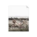 Picture of Bicycle Basket _GroupedProduct_Rectangle_Portrait_Photography _GroupedProduct_Rectangle_Portrait_Unframed_Print_Only_