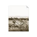 Picture of Bicycle Basket _GroupedProduct_Rectangle_Portrait_Photography _GroupedProduct_Rectangle_Portrait_Unframed_Print_Only_